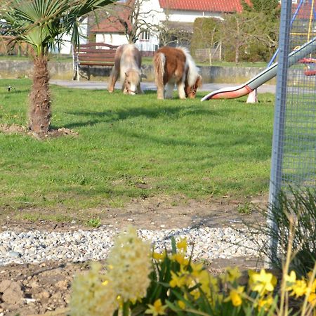 Hotel - Restaurant Hirschen - Werneths Landgasthof Beim Europa- Park Rust Rheinhausen Eksteriør billede