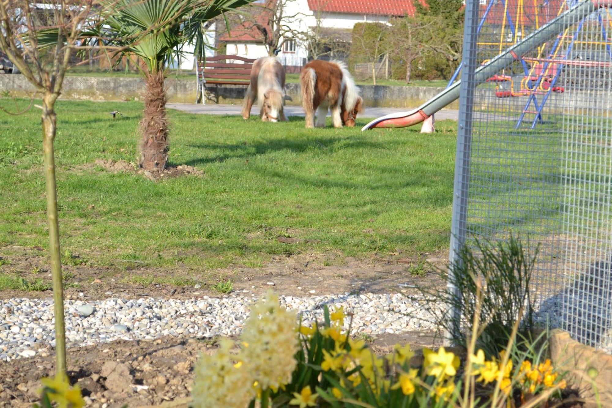 Hotel - Restaurant Hirschen - Werneths Landgasthof Beim Europa- Park Rust Rheinhausen Eksteriør billede
